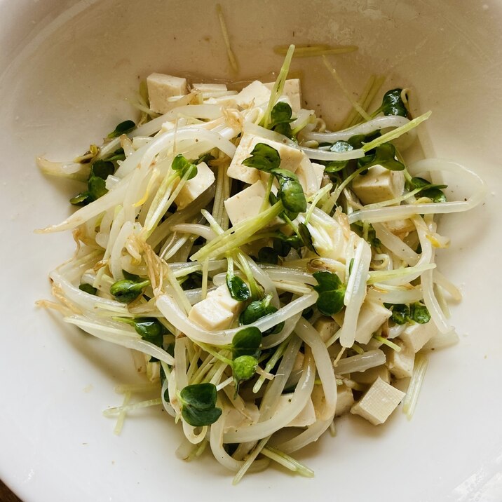 もやしとかいわれの豆腐サラダ